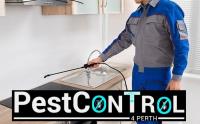 Spider Control Perth image 5